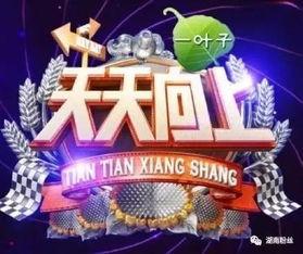 小鱼娱乐爆料王,王爆料背后的故事 第3张 小鱼娱乐爆料王,王爆料背后的故事 第3张