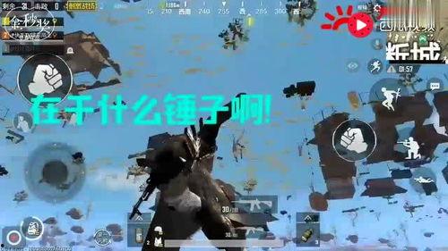 鸡飞飞上天在线观看,云端奇遇记在线观看之旅  第3张