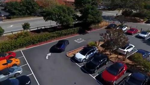 特斯拉爆料小鱼视频播放,小鱼视频播放背后的秘密大揭秘 第3张 特斯拉爆料小鱼视频播放,小鱼视频播放背后的秘密大揭秘 第3张